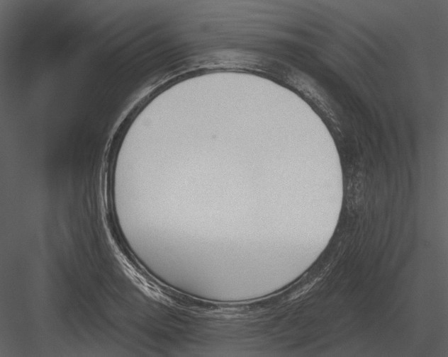 X0000082931130200702222212