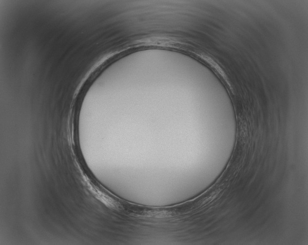 X0000082931131200702222212