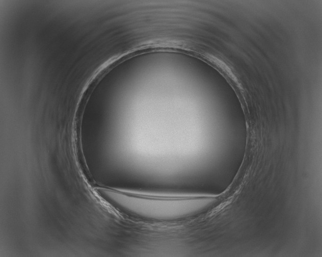 X0000082931133200702222212