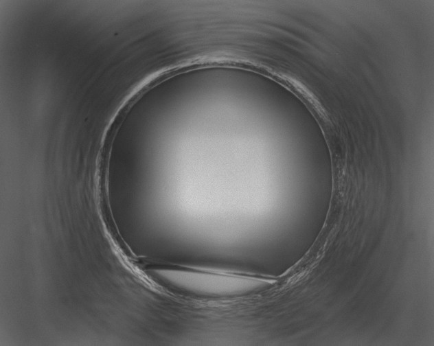 X0000082931134200702222212