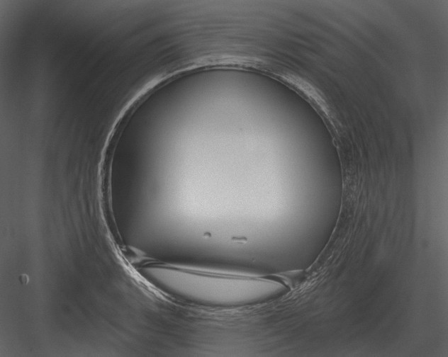 X0000082931135200702222212