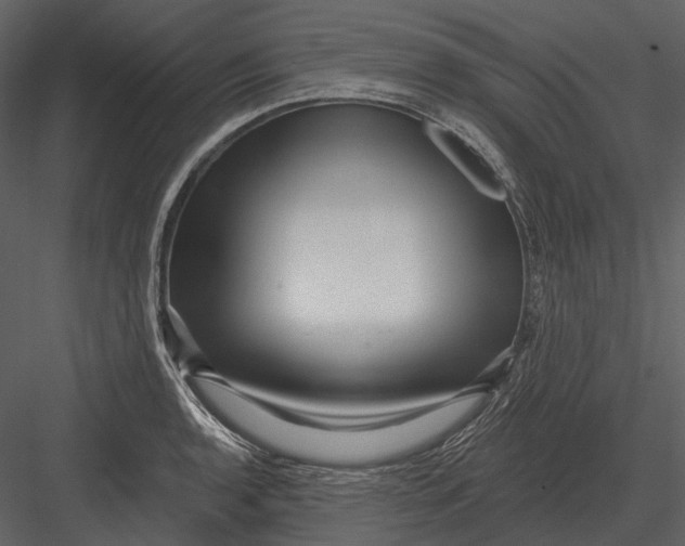 X0000082931136200702222212