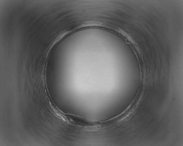 X0000082931137200702222212