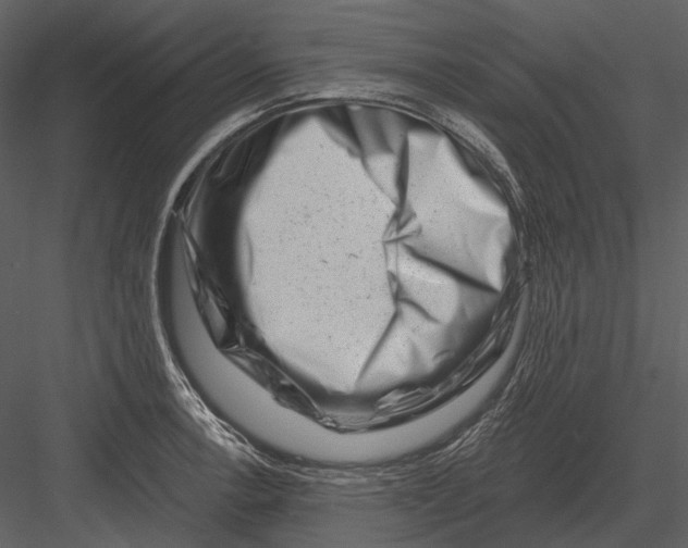 X0000082931138200702222212