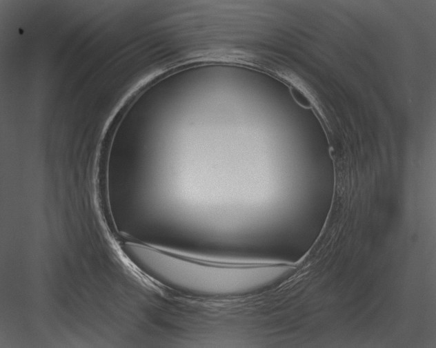 X0000082931139200702222212