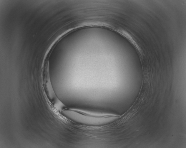 X0000082931140200702222212