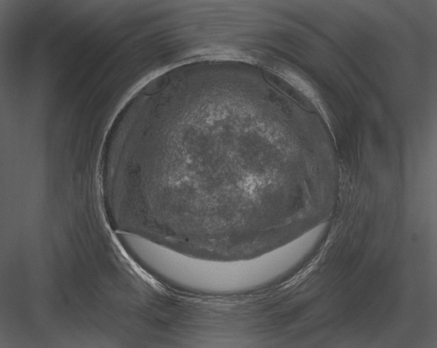 X0000082931141200702222212