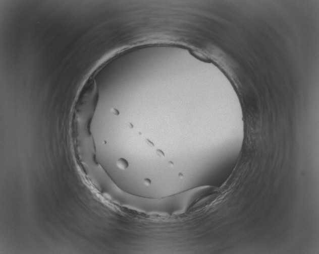 X0000082931142200702222212