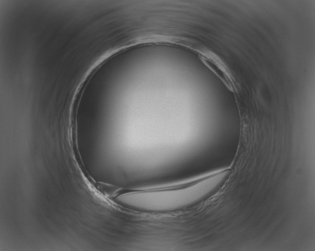 X0000082931143200702222213