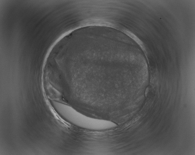 X0000082931144200702222213