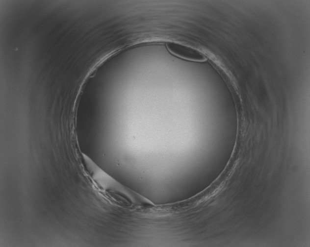 X0000082931145200702222213