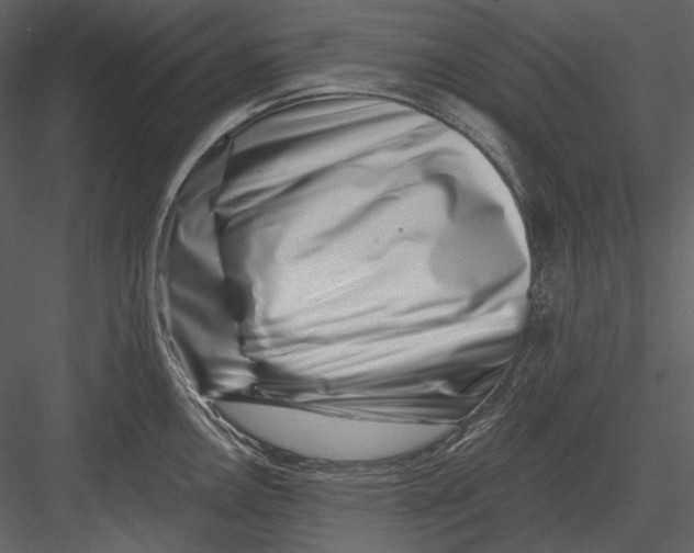 X0000082931146200702222213