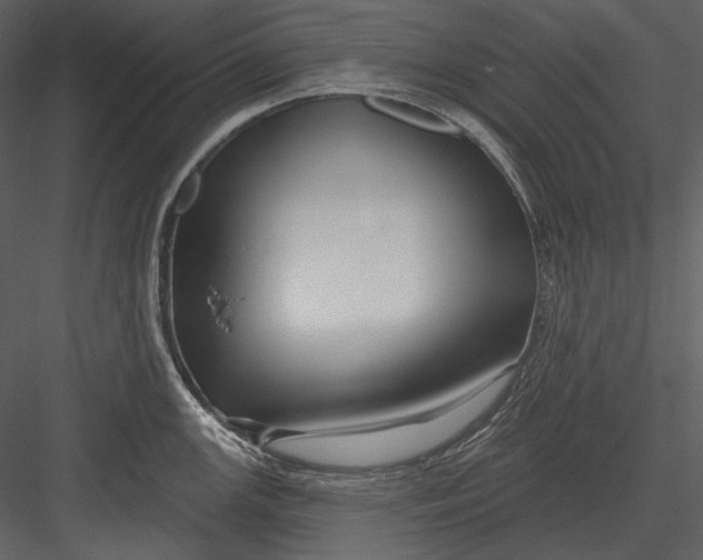 X0000082931147200702222213