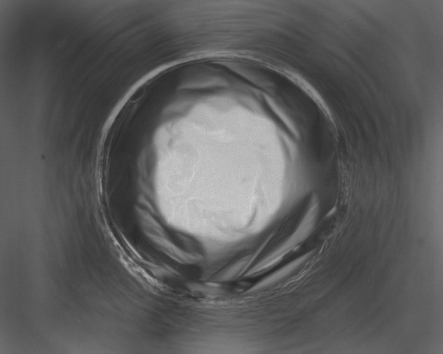 X0000082931148200702222213