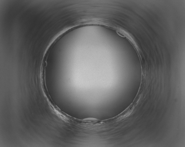 X0000082931149200702222213