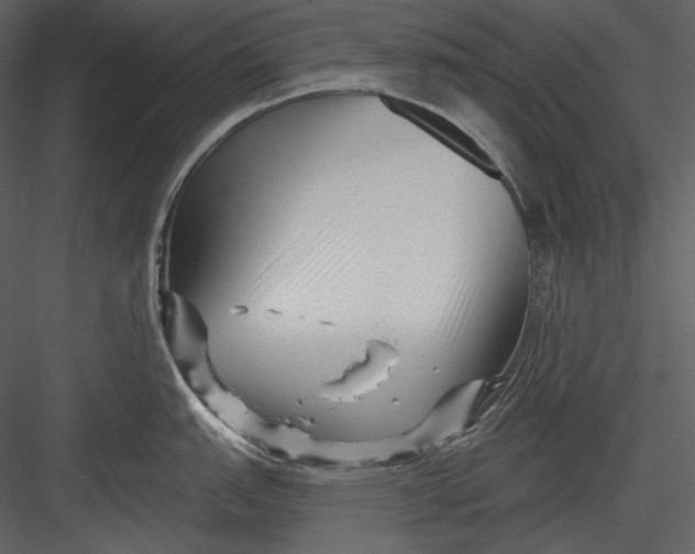 X0000082931151200702222213