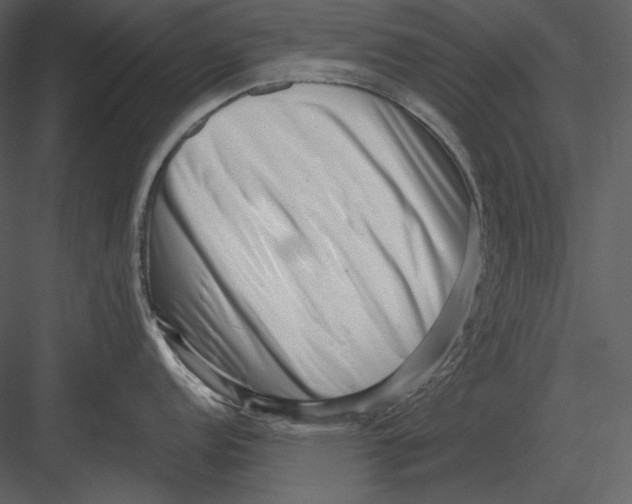 X0000082931152200702222213