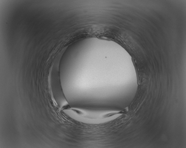 X0000082931153200702222212