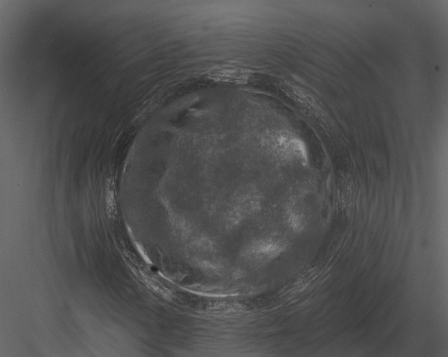 X0000082931154200702222212