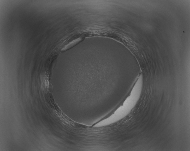 X0000082931155200702222212