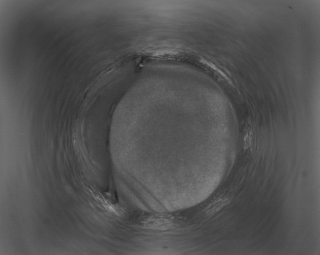 X0000082931156200702222212