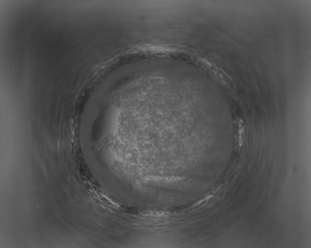 X0000082931157200702222212