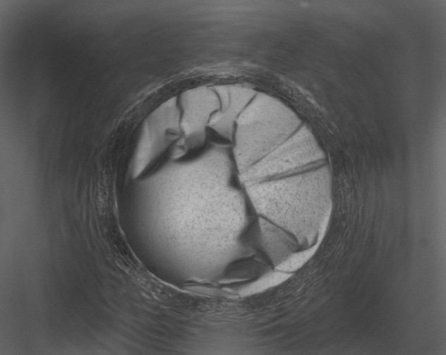 X0000082931158200702222212