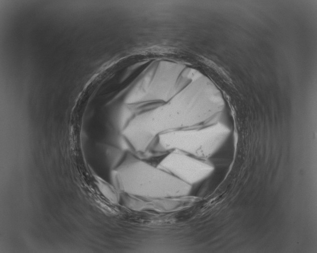 X0000082931160200702222212