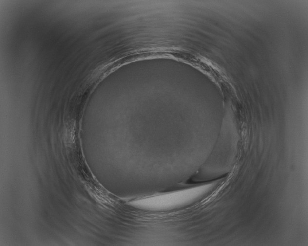 X0000082931161200702222212