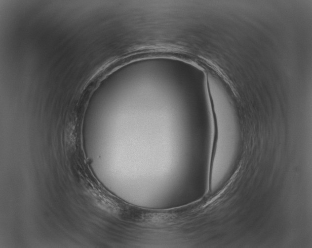 X0000082931163200702222212