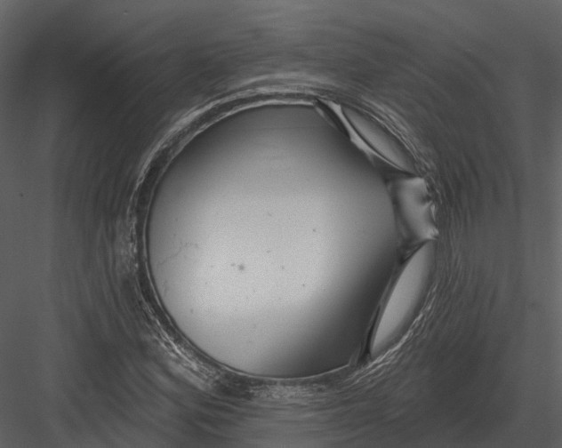 X0000082931164200702222212