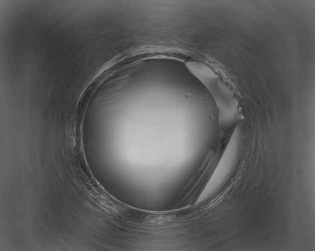 X0000082931165200702222212