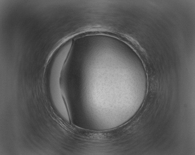 X0000082931167200702222212