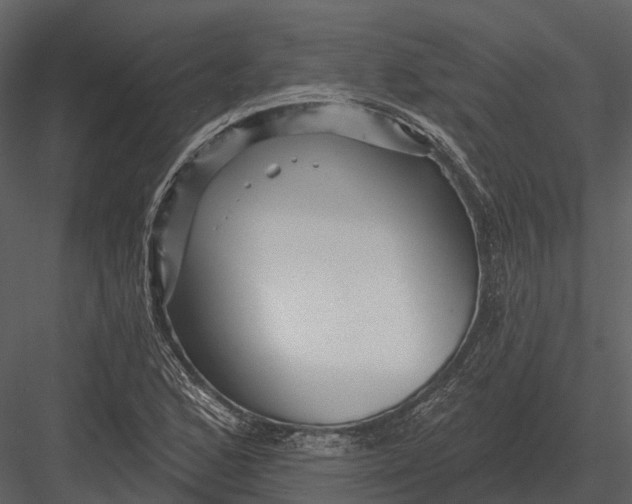 X0000082931168200702222212