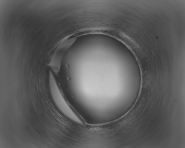 X0000082931169200702222212