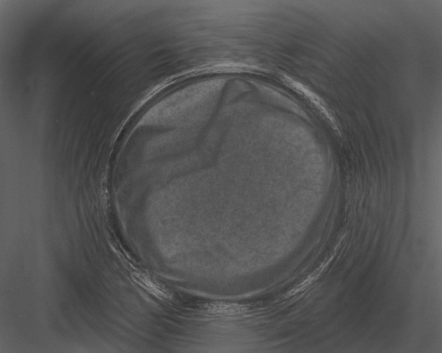 X0000082931170200702222212