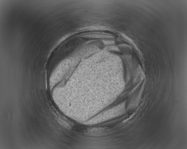 X0000082931171200702222212