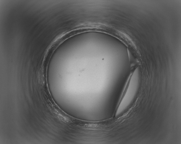 X0000082931172200702222212