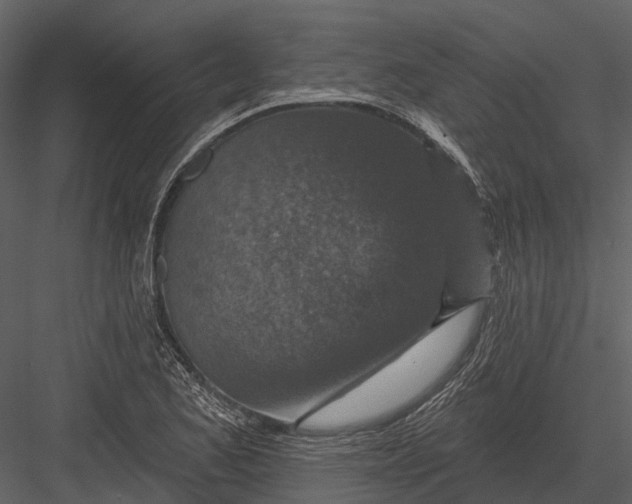 X0000082931173200702222211