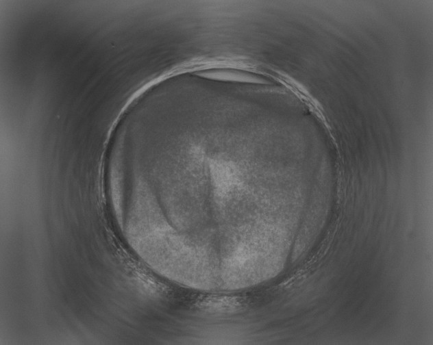 X0000082931174200702222211