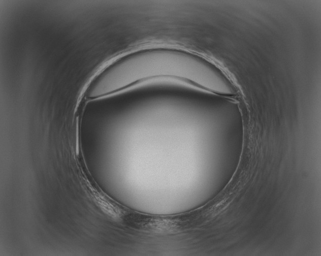 X0000082931175200702222211