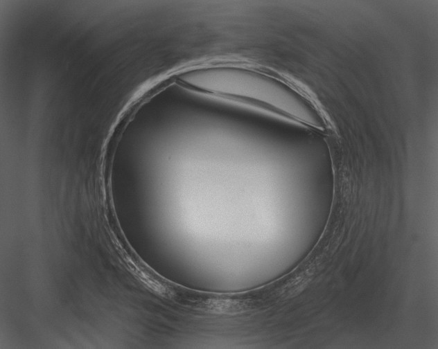 X0000082931176200702222211