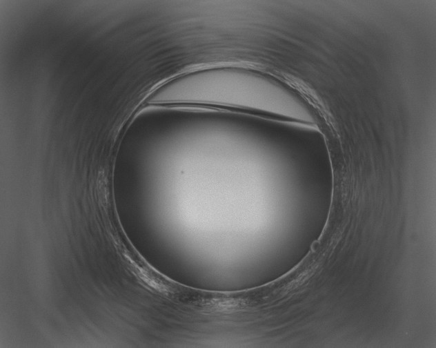 X0000082931177200702222211