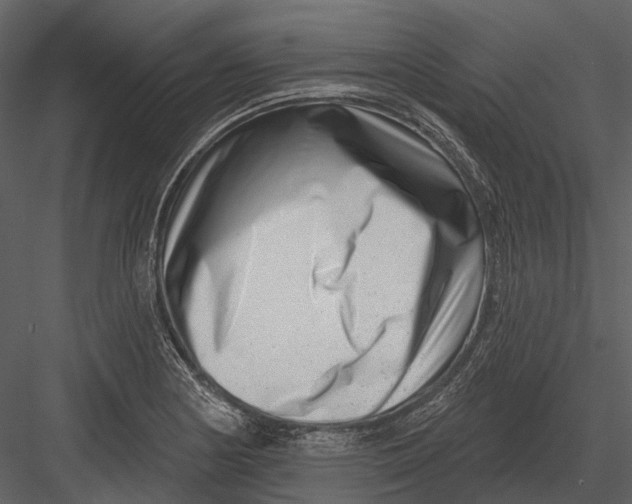 X0000082931178200702222211