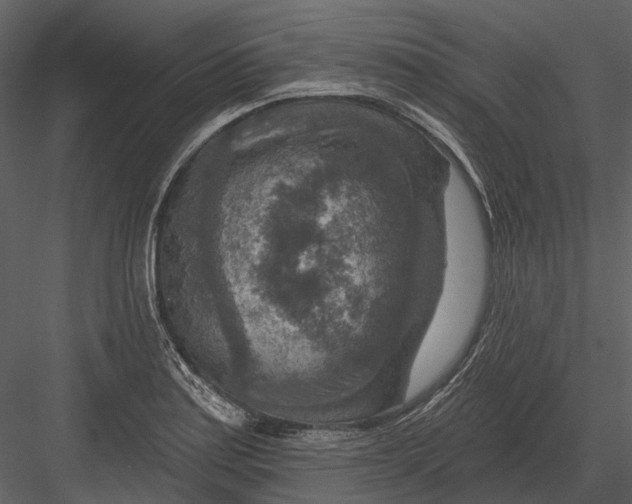 X0000082931179200702222211