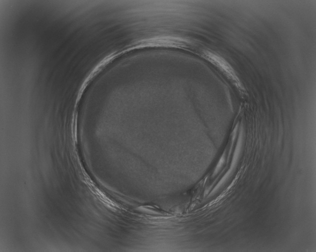 X0000082931180200702222211