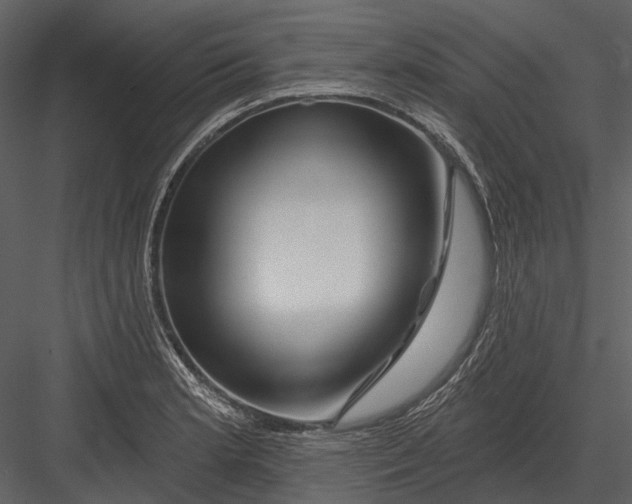 X0000082931181200702222211