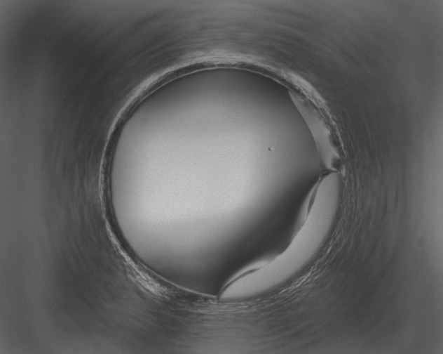 X0000082931183200702222211