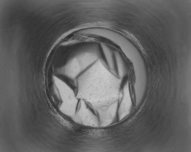 X0000082931184200702222211