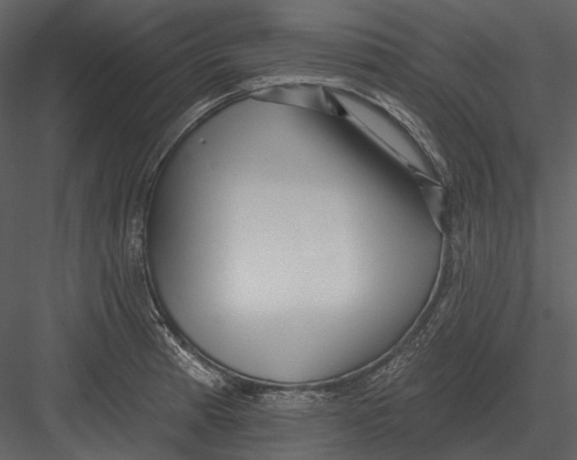 X0000082931185200702222211